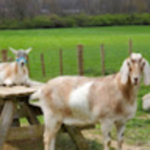 Meet your Posher, Lori